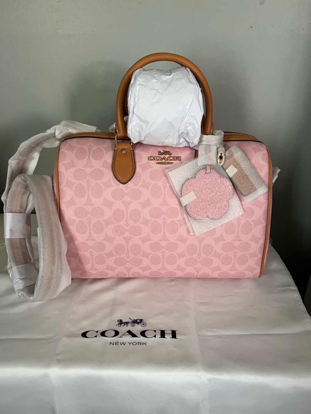 Coach Rowan Large Satchel Bag In Signature Canvas With Charms